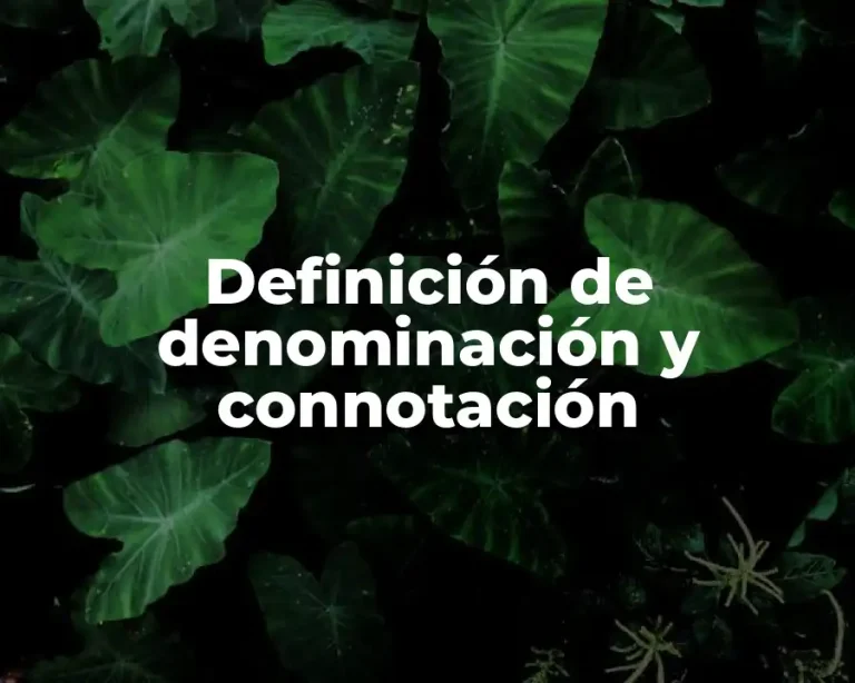 Definición de denominación y connotación