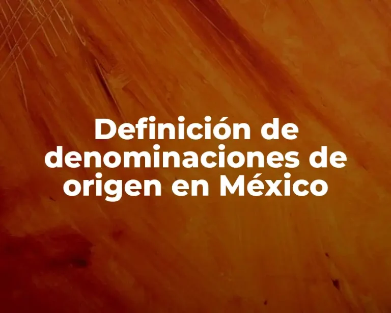 Definición de denominaciones de origen en México