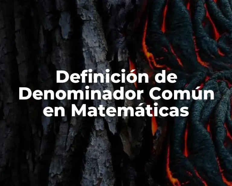 Definición de Denominador Común en Matemáticas