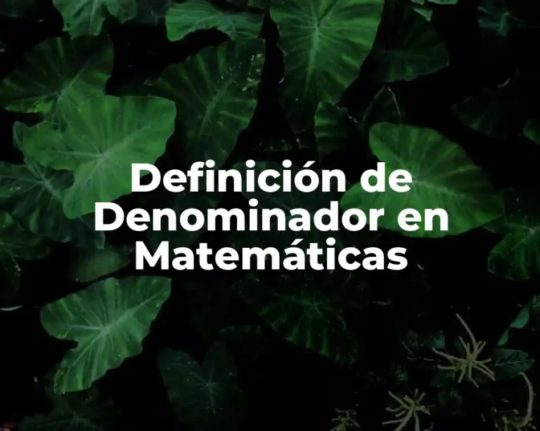 Definición de Denominador en Matemáticas