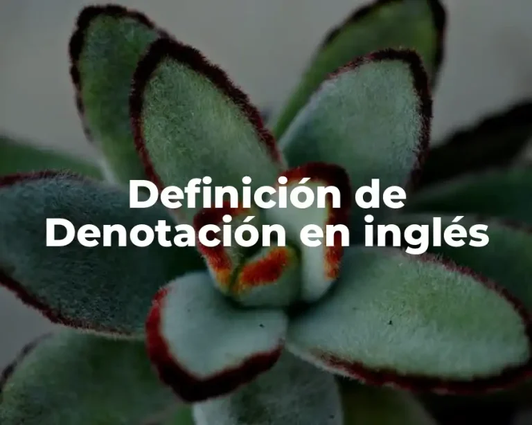 Definición de Denotación en inglés