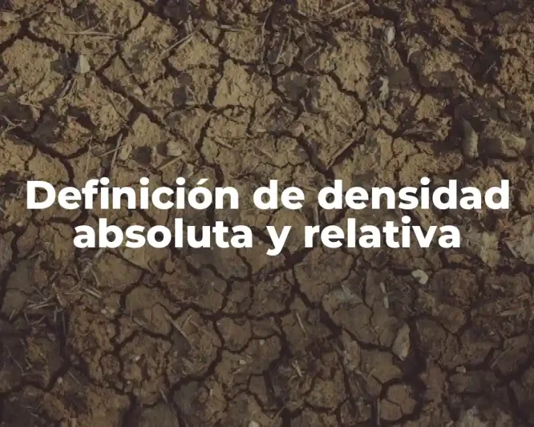 Definición de densidad absoluta y relativa