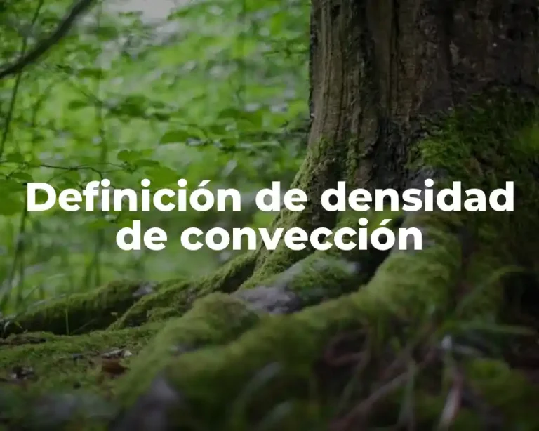 Definición de densidad de convección