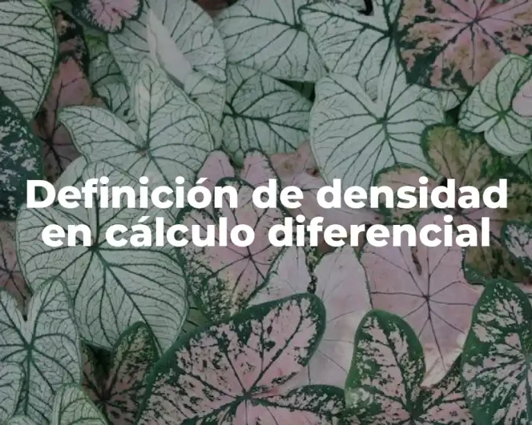 Definición de densidad en cálculo diferencial