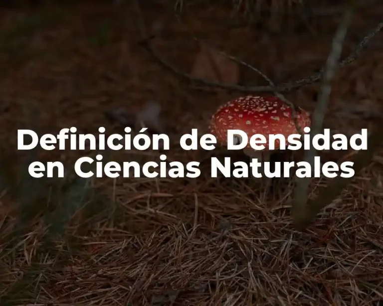 Definición de Densidad en Ciencias Naturales