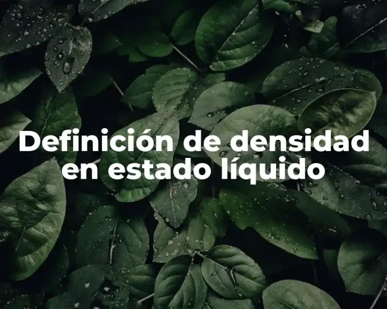Definición de densidad en estado líquido