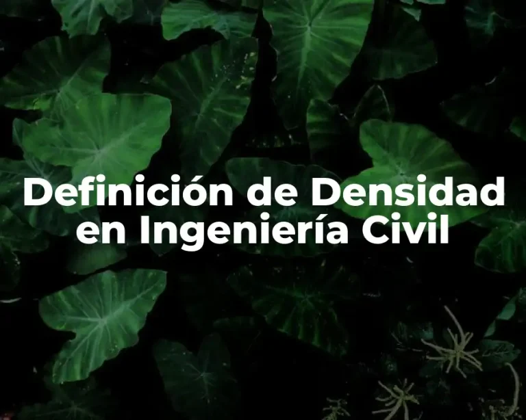 Definición de Densidad en Ingeniería Civil