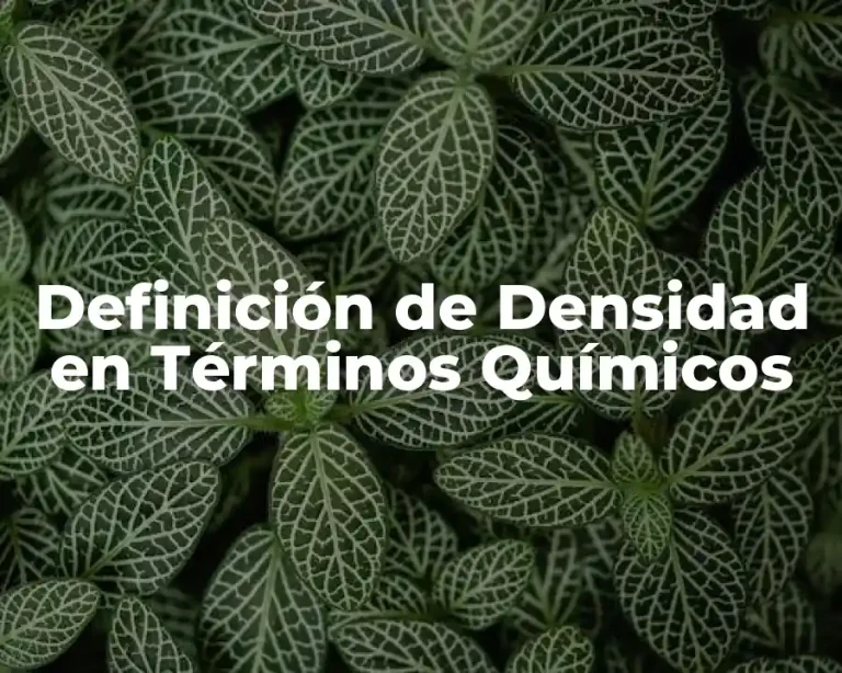 Definición de Densidad en Términos Químicos