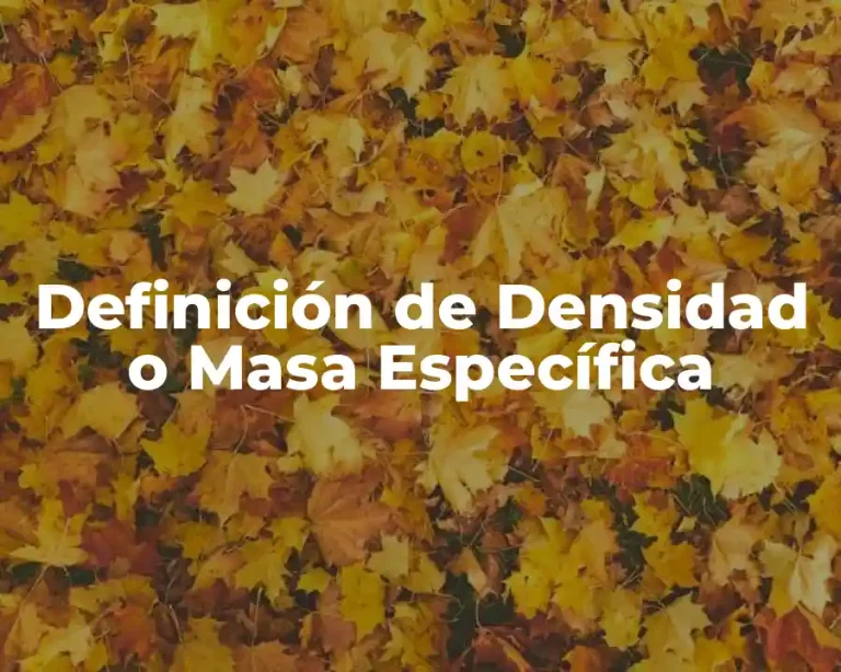 Definición de Densidad o Masa Específica