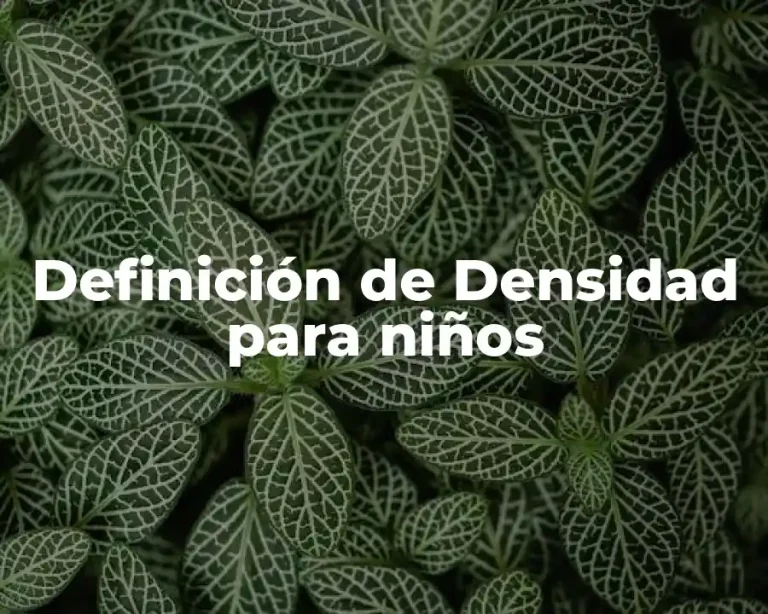 Definición de Densidad para niños
