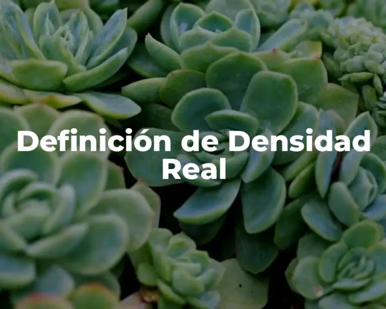 Definición de Densidad Real