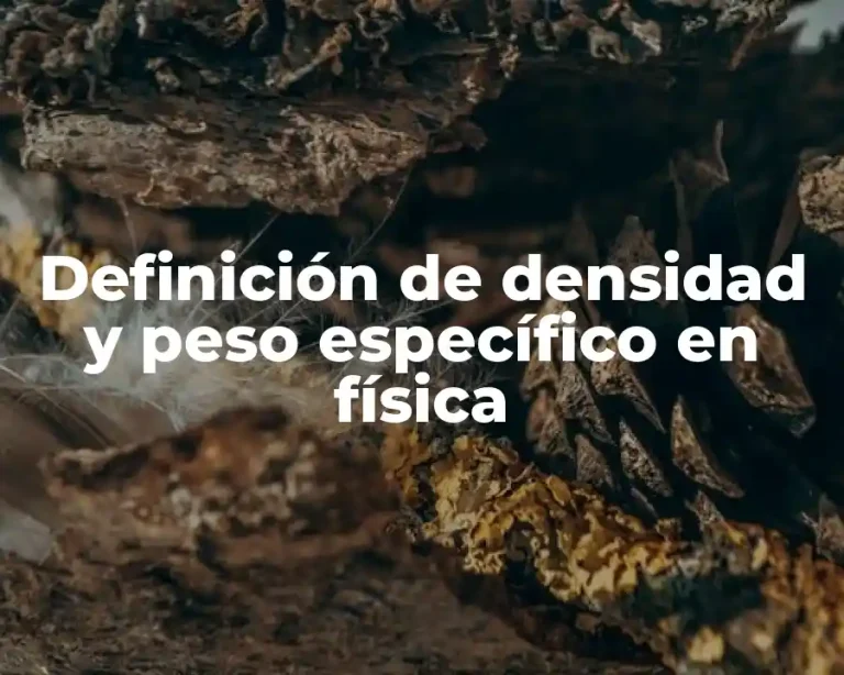 Definición de densidad y peso específico en física