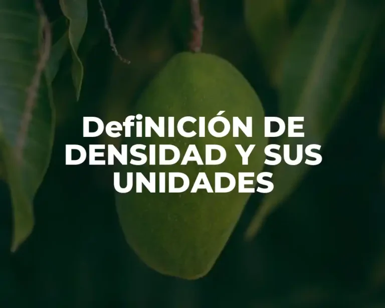 DefiNICIÓN DE DENSIDAD Y SUS UNIDADES