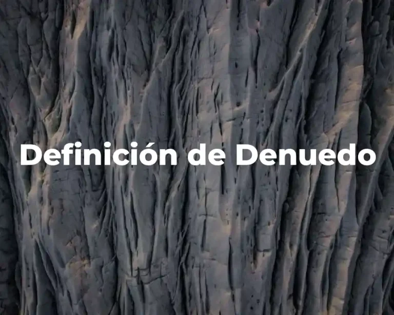 Definición de Denuedo