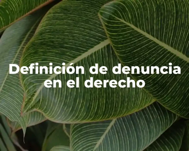 Definición de denuncia en el derecho