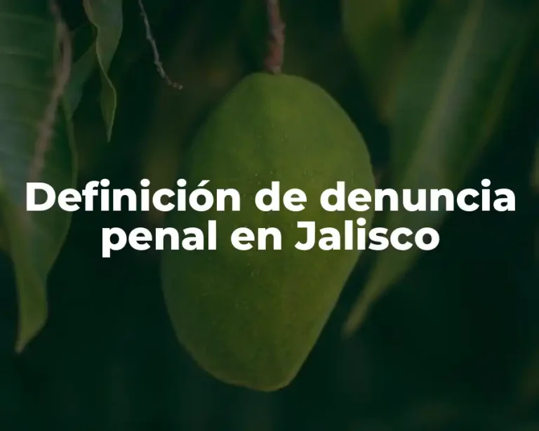 Definición de denuncia penal en Jalisco