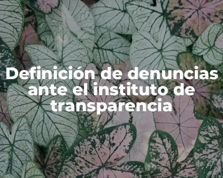 Definición de denuncias ante el instituto de transparencia