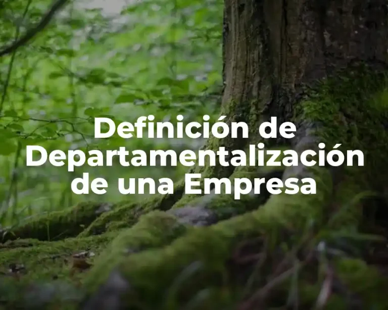 Definición de Departamentalización de una Empresa