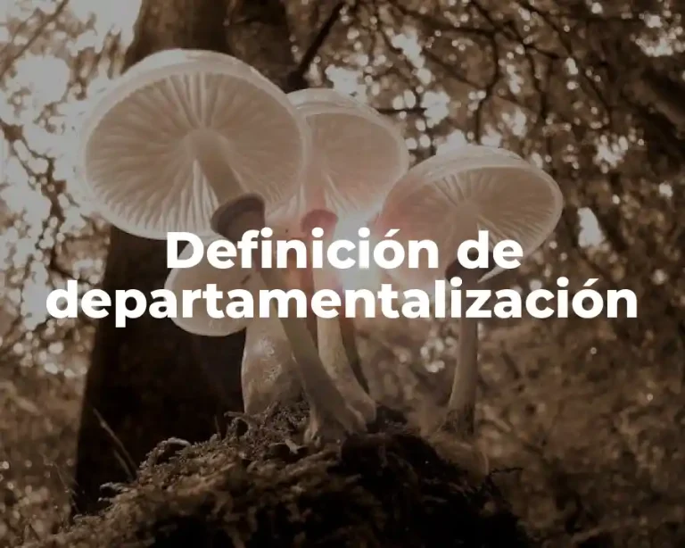Definición de departamentalización