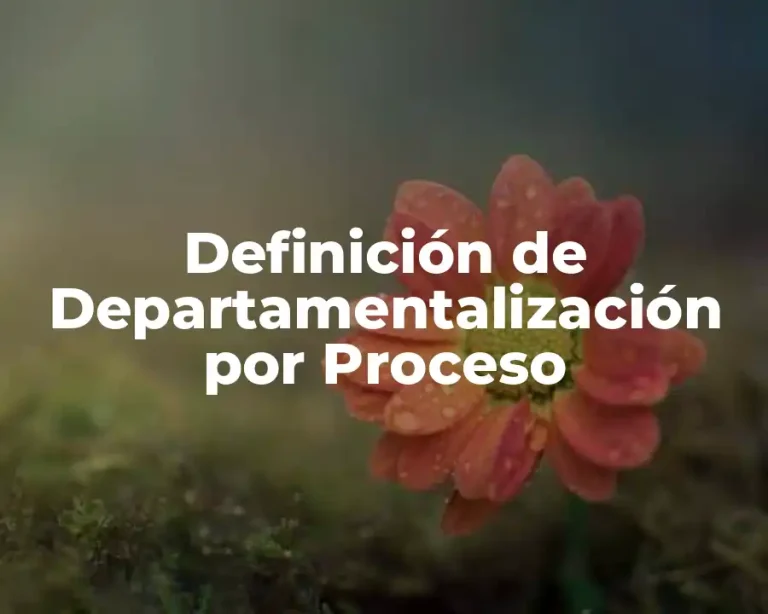 Definición de Departamentalización por Proceso