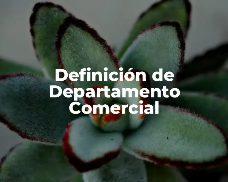 Definición de Departamento Comercial
