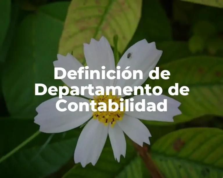 Definición de Departamento de Contabilidad