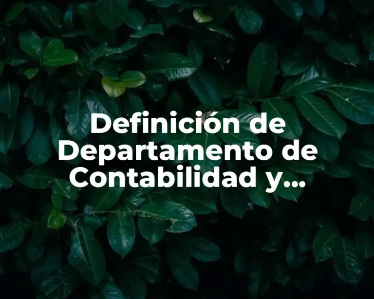 Definición de Departamento de Contabilidad y Financiero