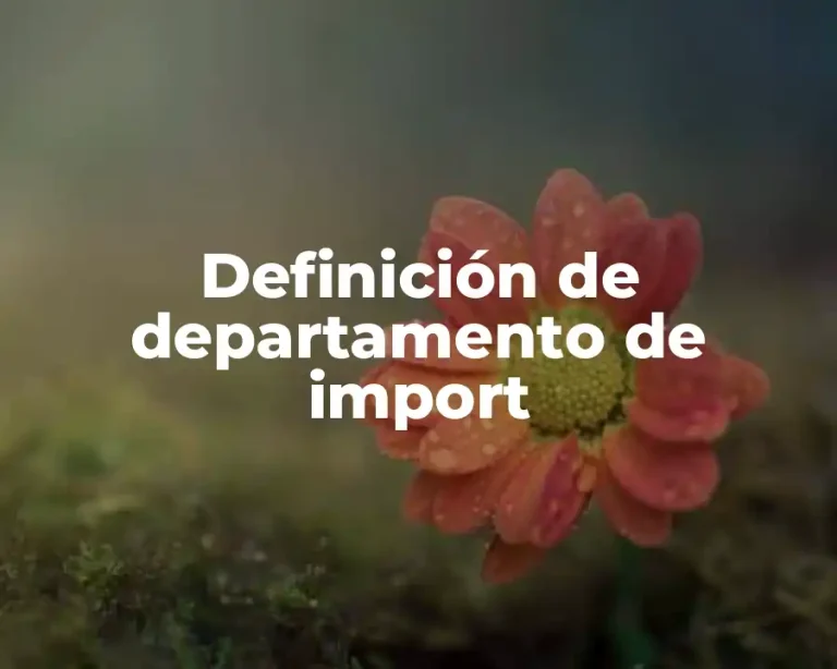 Definición de departamento de import