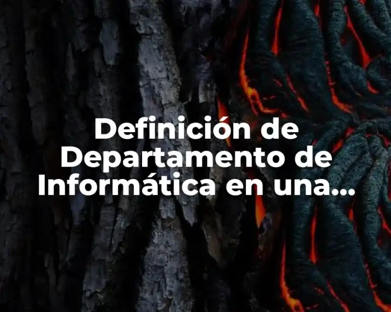 Definición de Departamento de Informática en una empresa
