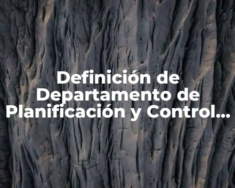 Definición de Departamento de Planificación y Control de Material