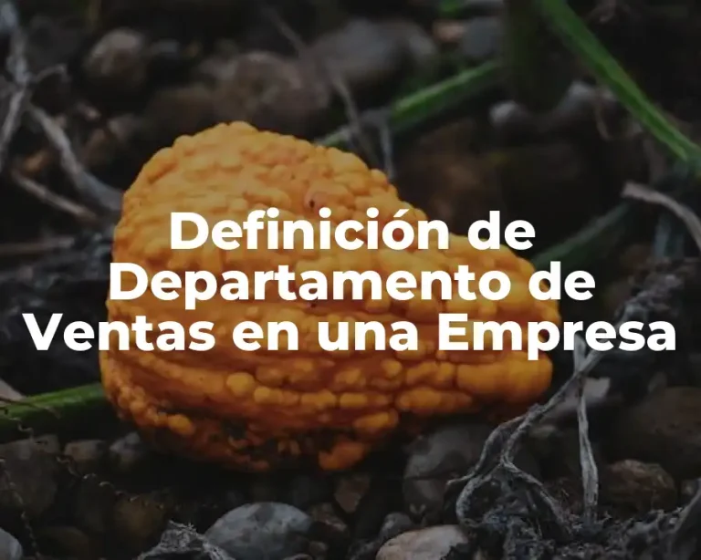 Definición de Departamento de Ventas en una Empresa