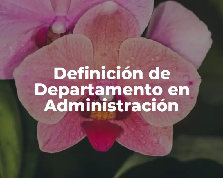 Definición de Departamento en Administración