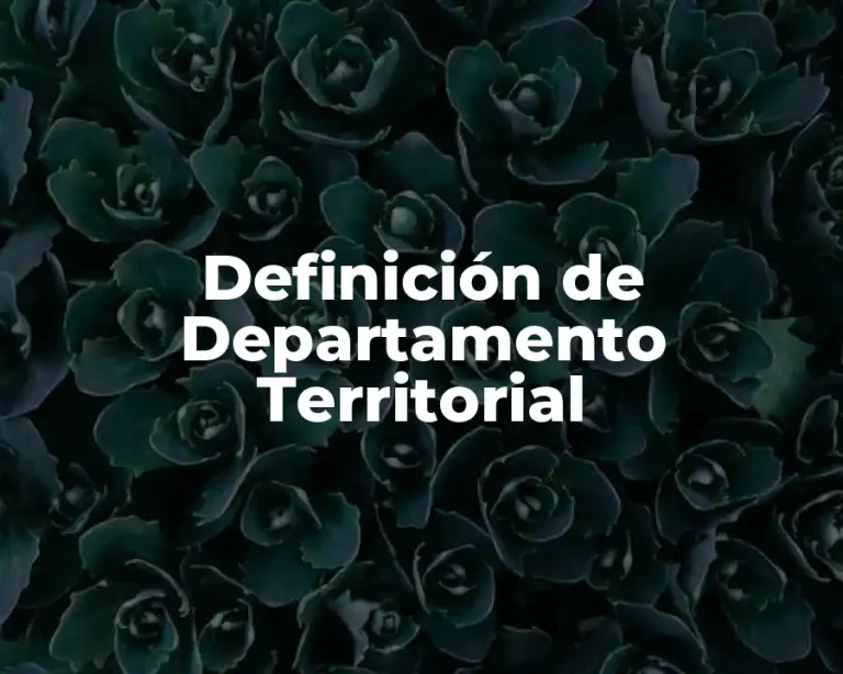 Definición de Departamento Territorial