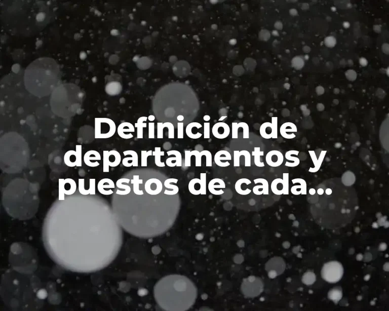 Definición de departamentos y puestos de cada trabajador