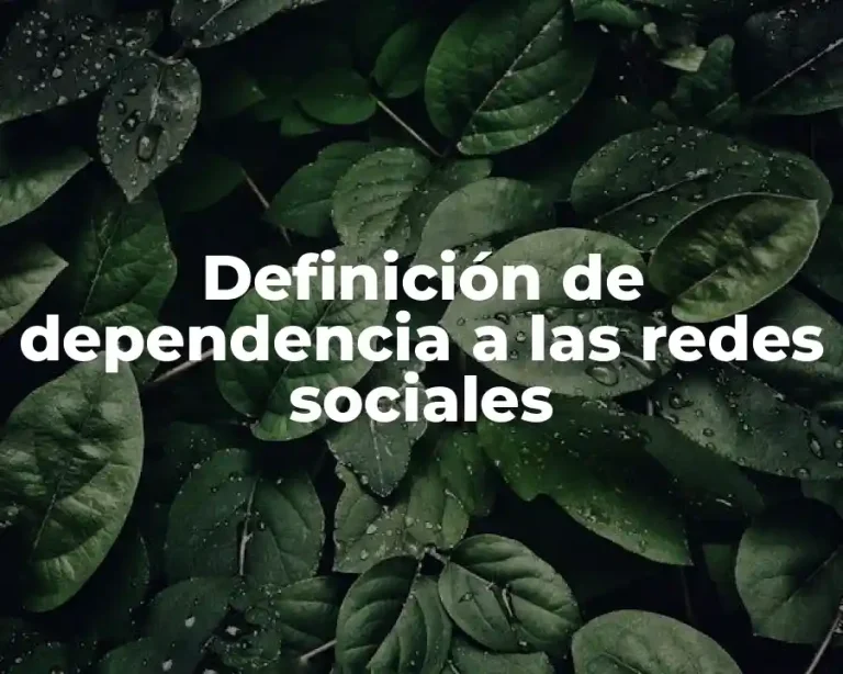 Definición de dependencia a las redes sociales