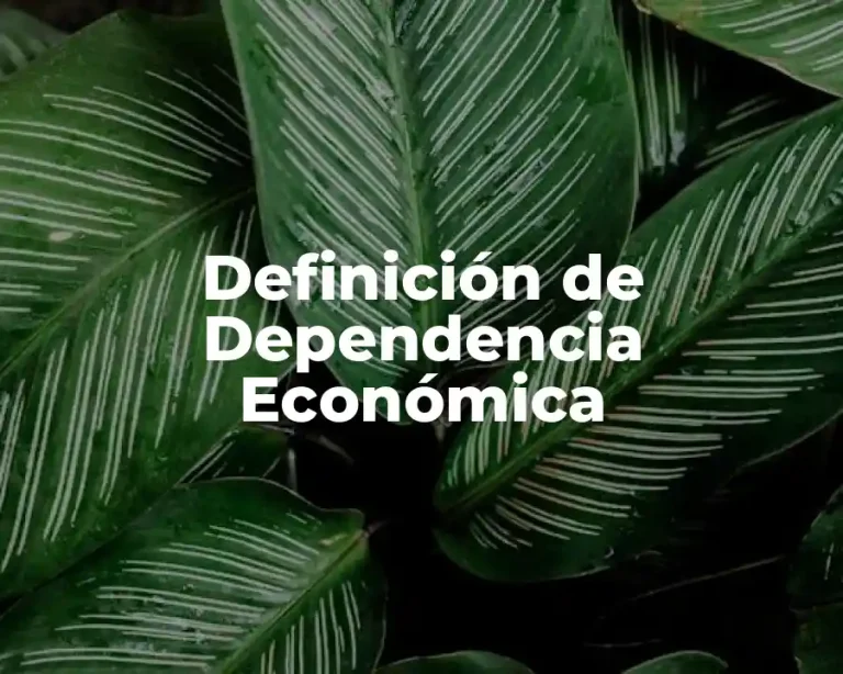 Definición de Dependencia Económica