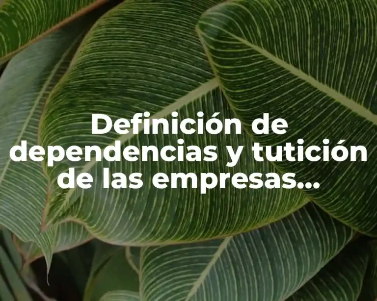Definición de dependencias y tutición de las empresas estatales