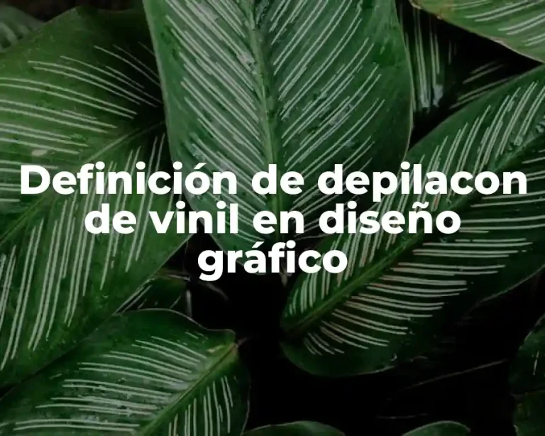 Definición de depilacon de vinil en diseño gráfico