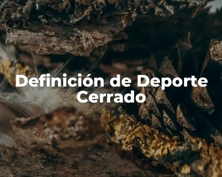 Definición de Deporte Cerrado