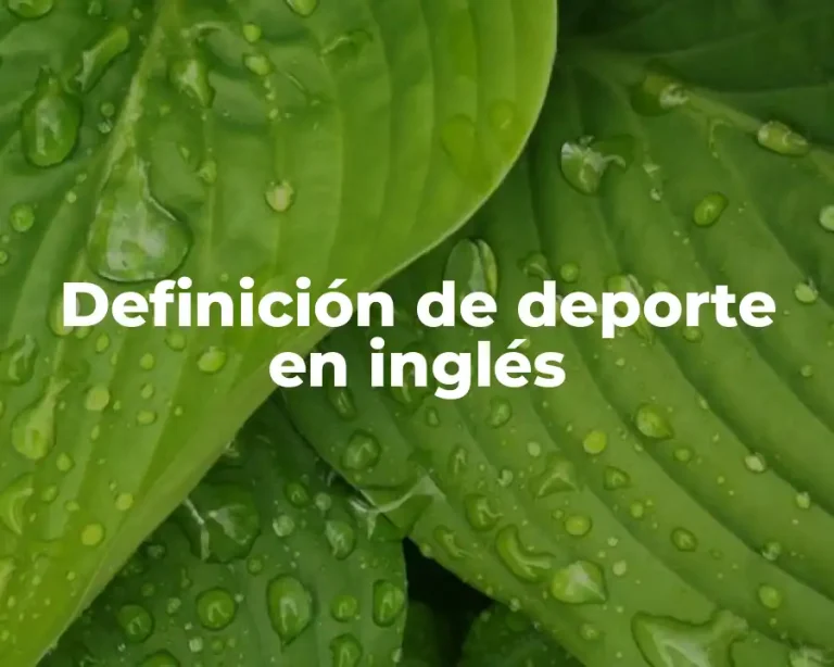 Definición de deporte en inglés