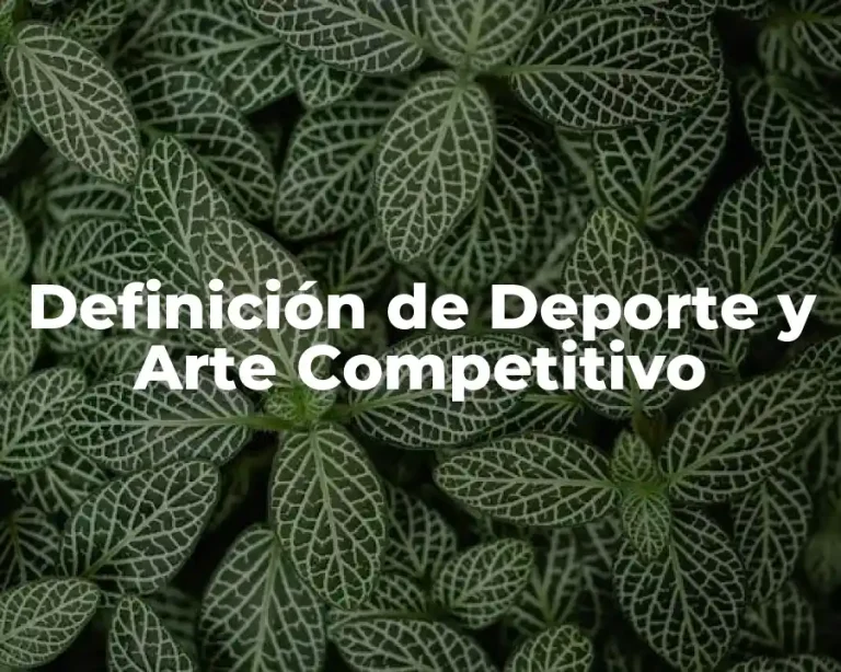 Definición de Deporte y Arte Competitivo