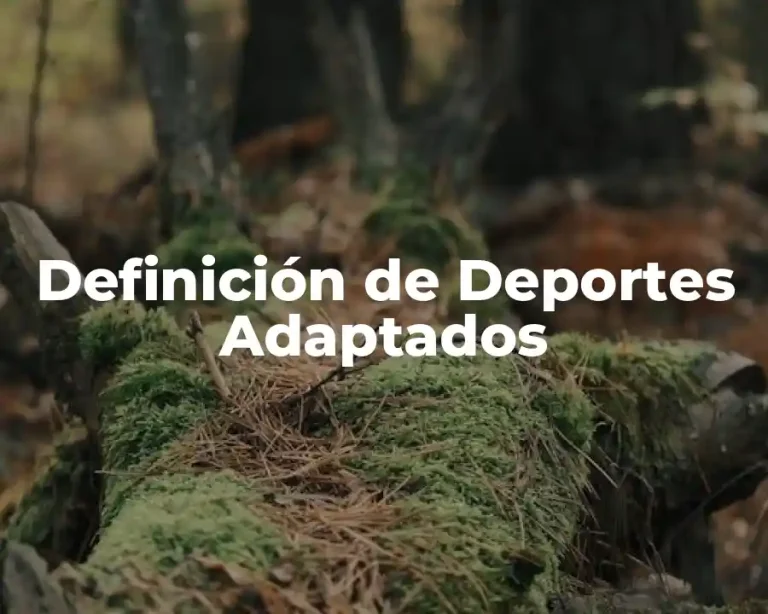 Definición de Deportes Adaptados