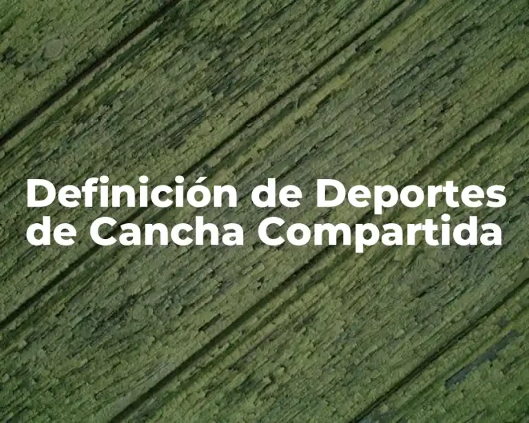 Definición de Deportes de Cancha Compartida