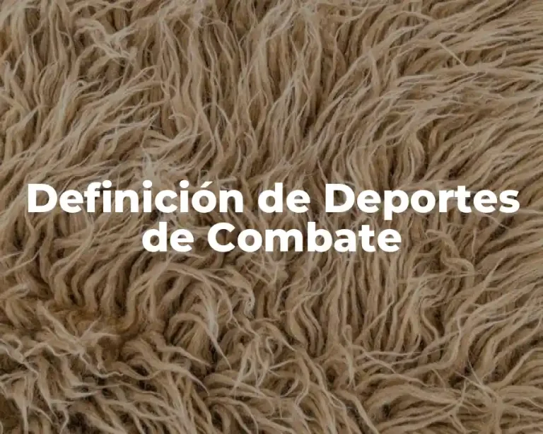 Definición de Deportes de Combate