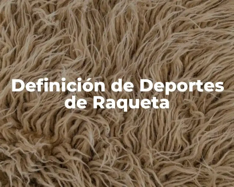 Definición de Deportes de Raqueta