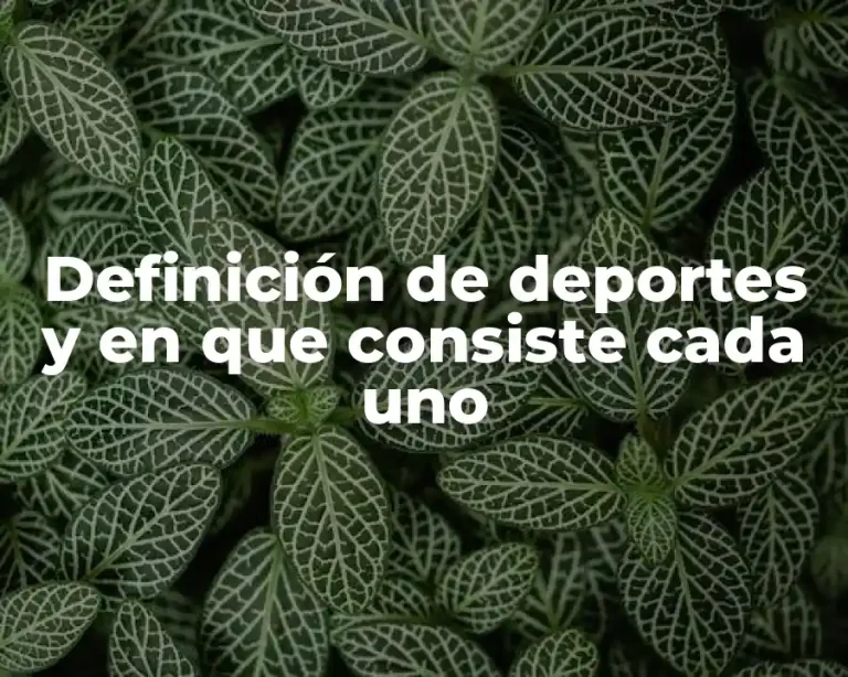 Definición de deportes y en que consiste cada uno