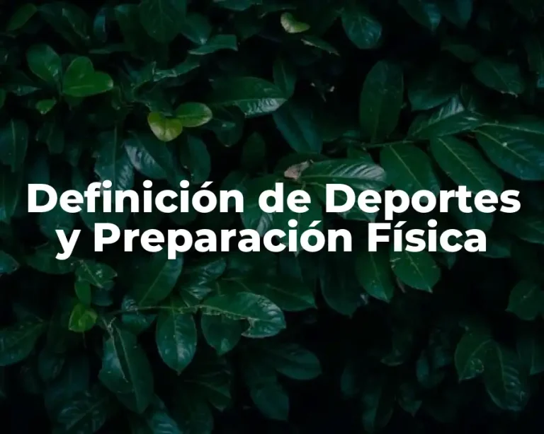 Definición de Deportes y Preparación Física
