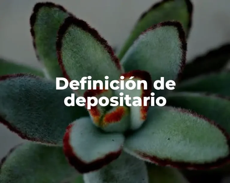 Definición de depositario