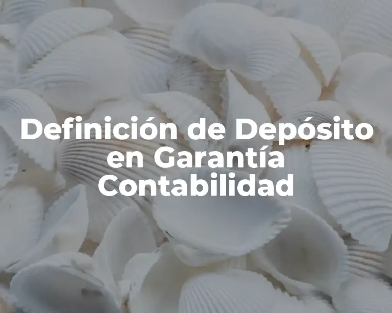 Definición de Depósito en Garantía Contabilidad