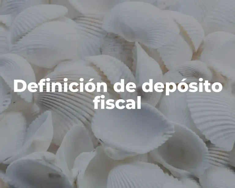 Definición de depósito fiscal